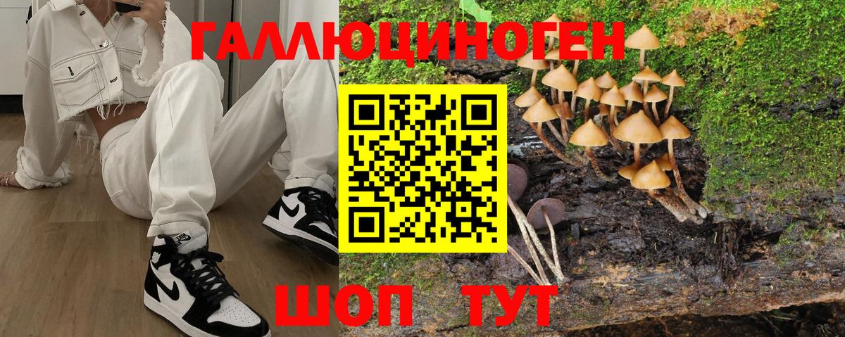 Урай  Псилоцибиновые грибы Cubensis  Вход с VPN 