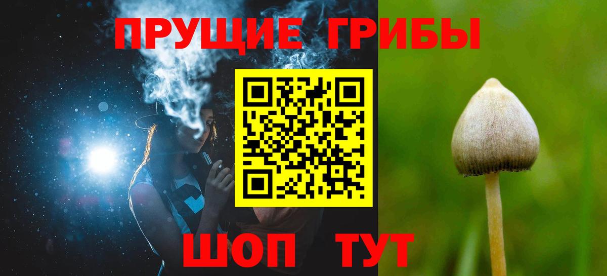 Псилоцибиновые грибы Psilocybe Урай